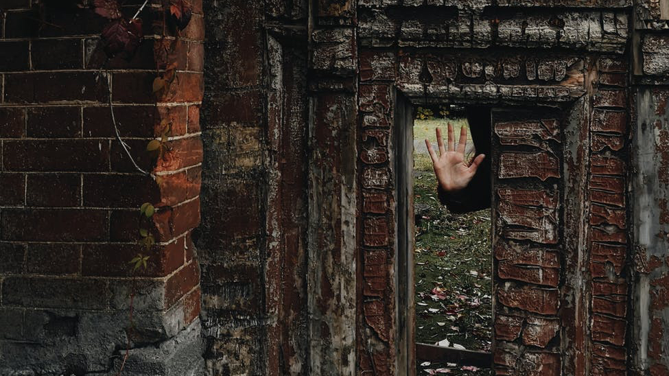 wooden door beside brick wall