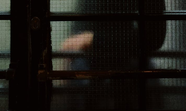pexels-photo-3535550.jpeg